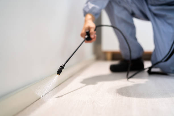 Professional exterminator conducting IPM assessment in Lockeford